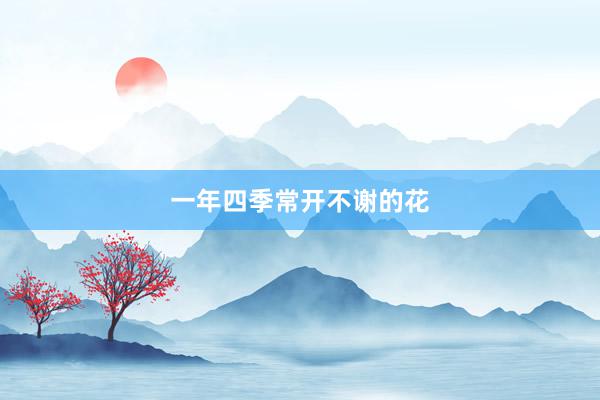 一年四季常开不谢的花