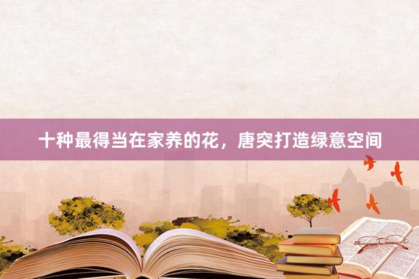 十种最得当在家养的花，唐突打造绿意空间