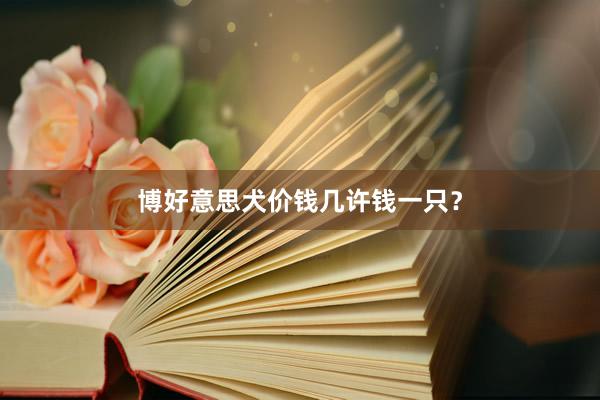 博好意思犬价钱几许钱一只？